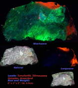 Green FL Ussingite with Natural Images